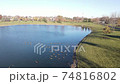 Overhead aerial view of relaxing and swimming Canadian geese on a pond surface. American suburban neighborhood. 4K 74816802