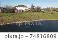 Overhead aerial view of relaxing and swimming Canadian geese on a pond surface. American suburban neighborhood. 4K 74816809