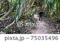 一個人沿著叢林般的小路走到Villa美大島之心石所在的別墅海灘 75035496