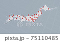 Bases spread from Tokyo to the whole of Japan 75110485