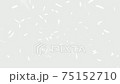 騰飛的wings_white背景 75152710