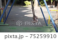 Swinging swing (slow motion) 75259910