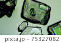 Microscopic video of granulated sugar crystal 1 (100x) 75327082
