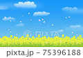 桜　舞う　菜の花畑 75396188