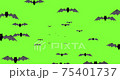 Halloween black flying bats 75401737
