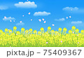 桜　舞う　菜の花畑 75409367