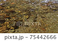 Stream of a stream 75442666
