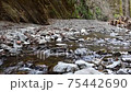 Mountain stream landscape 75442690