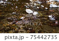 River flow 75442735