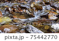 Mountain clear stream 75442770