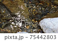 Clear flow stream 75442803