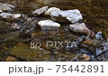 River flow 75442891