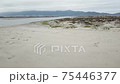 Flyover of the Ensenada estuary entrance and its fragile dunes and beaches 75446377