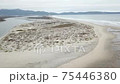 Aerial view of Ensenada estuary (estero) 75446380