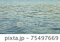 Waves on the water surface 75497669