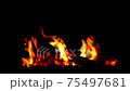Flame of fire on a black background. Burning firewood on a black background. Fire in the night. 75497681