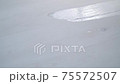 Close-up painter paints floor or table in white using brush, home repair 75572507