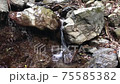 Upstream of Mizusawa flowing through the gaps between rocks 75585382