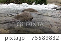 A mountain stream with a strong current 75589832