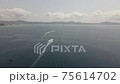 [Okinawa] Off the coast of Awa, Nago City (Ryukyu Cement Pier) (construction of new Henoko base) 75614702