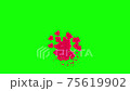 Animation of flying hearts assembled from small puzzles on a green screen. 4k 2d video template 75619902