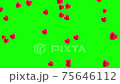 Flying hearts animation on green screen. 4k 2d video template 75646112