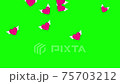 Animation of winged hearts flying on a green screen background. Red hearts flap their wings. 4k Video Template 75703212