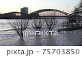 Flood on Rhine river, Cologne, Germany Flood on Rhine river, Cologne, Germany 75703850