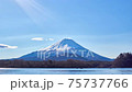 In March, a time-lapse view of Mt. Fuji covered with snow from the shore of Lake Shoji in fine weather. Fujikawaguchiko Town, Yamanashi Prefecture 75737766