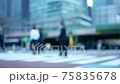 行人在東京站附近的一個十字路口走 75835678