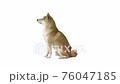Beautiful shiba inu puppy sitting on white background. 76047185