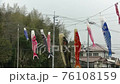 Carp streamer decorated with family 76108159
