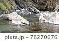 Nature  76270676