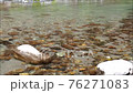Pure flow of river 76271083