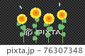 向日葵和蜻蜓在風中飄揚（帶alpha通道，透明背景）循環動畫 76307348