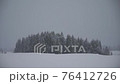 Snowstorm in a snowy country 76412726