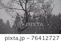 Snowstorm in a snowy country 76412727