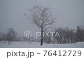 Snowstorm in a snowy country 76412729