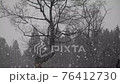 Snowstorm in a snowy country 76412730