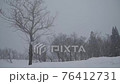 Snowstorm in a snowy country 76412731