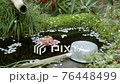 Chozuya where cherry blossoms and peony float 76448499
