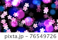 夜櫻花圖像背景。循環視頻 76549726