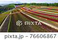 観光花畑・四季彩の丘 ドローン空撮 観光花畑・四季彩の丘 ドローン空撮 76606867