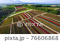 観光花畑・四季彩の丘 ドローン空撮 観光花畑・四季彩の丘 ドローン空撮 76606868
