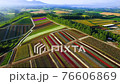 観光花畑・四季彩の丘 ドローン空撮 観光花畑・四季彩の丘 ドローン空撮 76606869