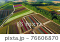 観光花畑・四季彩の丘 ドローン空撮 観光花畑・四季彩の丘 ドローン空撮 76606870