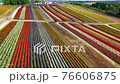 観光花畑・四季彩の丘 ドローン空撮 観光花畑・四季彩の丘 ドローン空撮 76606875