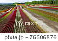 観光花畑・四季彩の丘 ドローン空撮 観光花畑・四季彩の丘 ドローン空撮 76606876