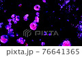 [Camellia-TSUBAKI] Fantastic camellia petals flowing through the river | Meteor shower of petals 76641365
