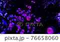 [Camellia-TSUBAKI] Fantastic camellia petals flowing through the river | Meteor shower of petals [4K video] 76658060